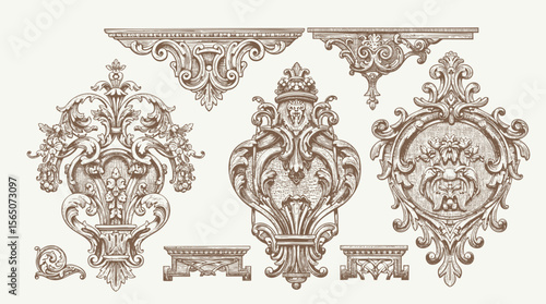 Hand drawn vector retro victorian ornaments set. engraving illustration of Floral decorative vector elements set, rococo and baroque style, vintage royal details