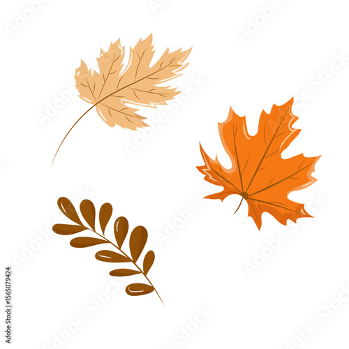 A set of colorful autumn leaves on a white background. Hand drawn vector illustration. Leaves of maple and other trees. Fall Dry Leaf in School Season. Bright Thanksgiving Overlay Design.