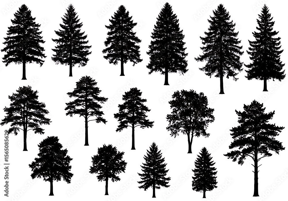 Fototapeta premium Silhouettes of various trees isolated on white background form a collection