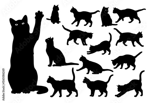 A collection of black cat silhouettes isolated on white background