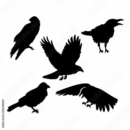 five sets of crow silhouettes that you can use