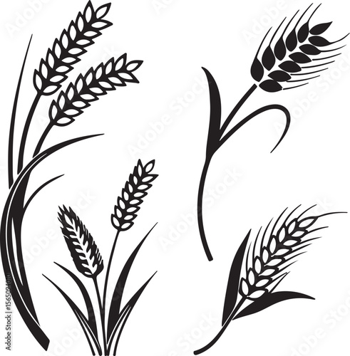 Wheat Silhouette Vector Icon Design – Agricultural Crop Outline Graphic for Farm and Organic Use