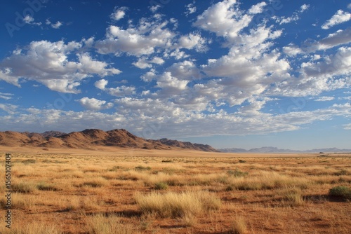 Arid grassland meets a distant mountain range under a blue sky filled with clouds