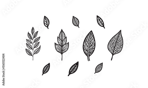 doodle leaf silhouette