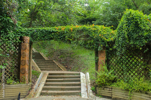 Fotografie arch with orange flowers and abundant leaves, arch that serves as the entrance to the stairs that lead to the top of the hill where people enter every day to view the landscape and the city