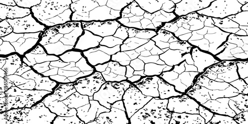 Black and white cracked earth texture with intricate patterns, symbolizing extreme drought, environmental stress, or parched landscapes. Perfect for backgrounds, climate themes, or natural decay visua