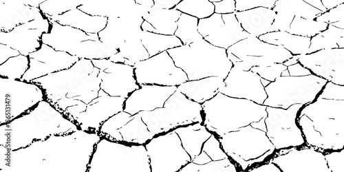 Black and white cracked earth texture with intricate patterns, symbolizing extreme drought, environmental stress, or parched landscapes. Perfect for backgrounds, climate themes, or natural decay visua