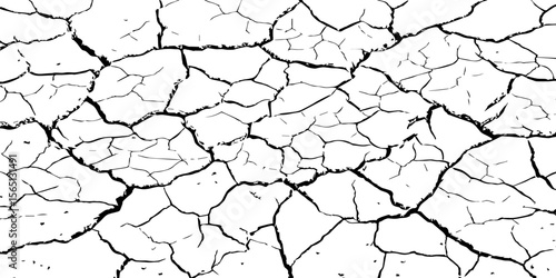 Black and white cracked earth texture with intricate patterns, symbolizing extreme drought, environmental stress, or parched landscapes. Perfect for backgrounds, climate themes, or natural decay visua