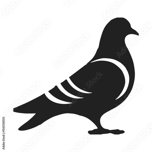 Pigeons Understanding These Ubiquitous and Diverse Birds 