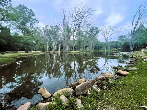the river in the forest