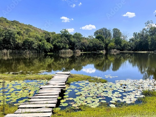 lake in summer