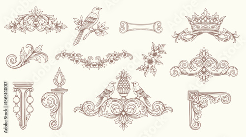 Floral decorative vector elements set, rococo and baroque style, vintage royal details. engraving illustration set