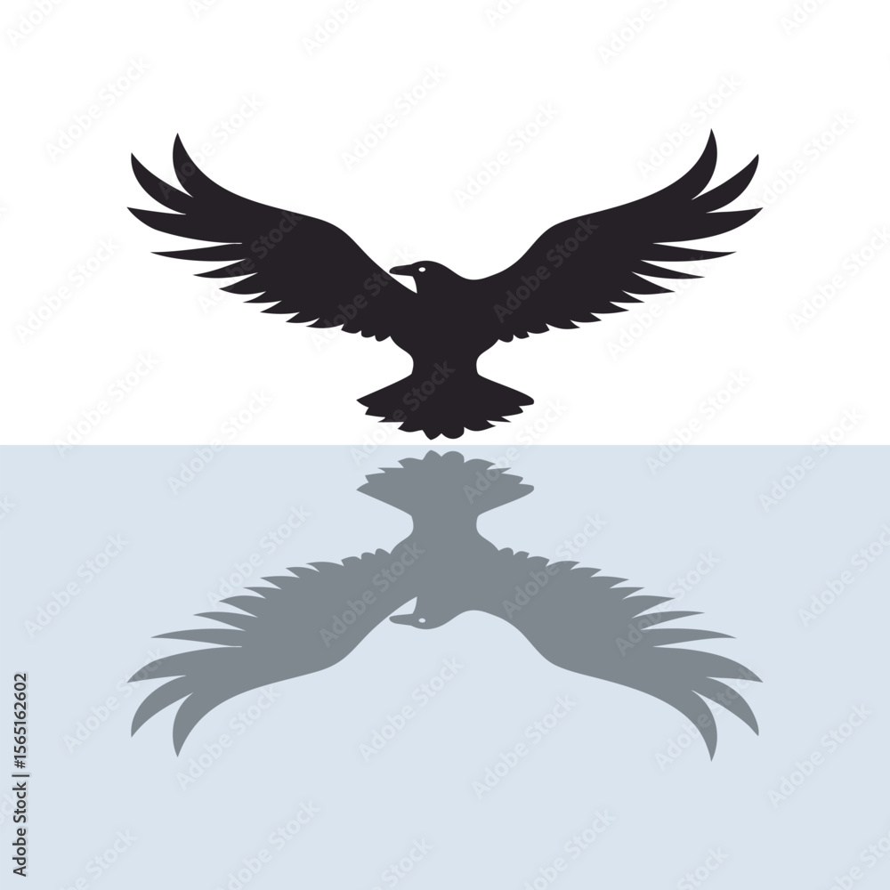 Fototapeta premium Eagle Shadow Above Water Reflection View