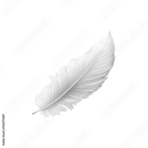 Soft white feather with delicate texture and light appearance isolated on white background