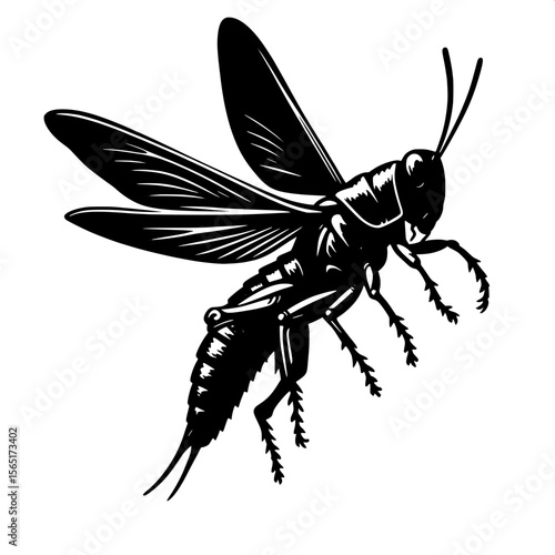 Black and White Vector of a Locust Silhouette