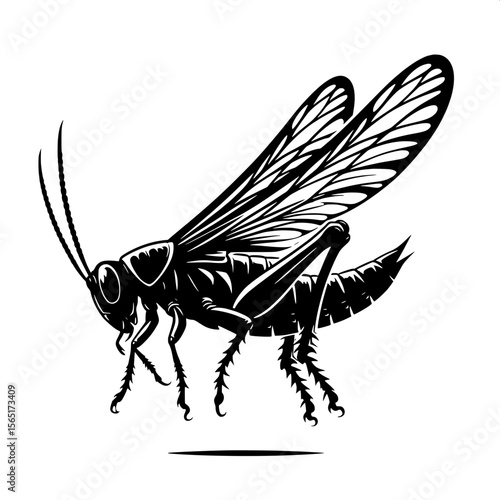 Black and White Vector of a Locust Silhouette