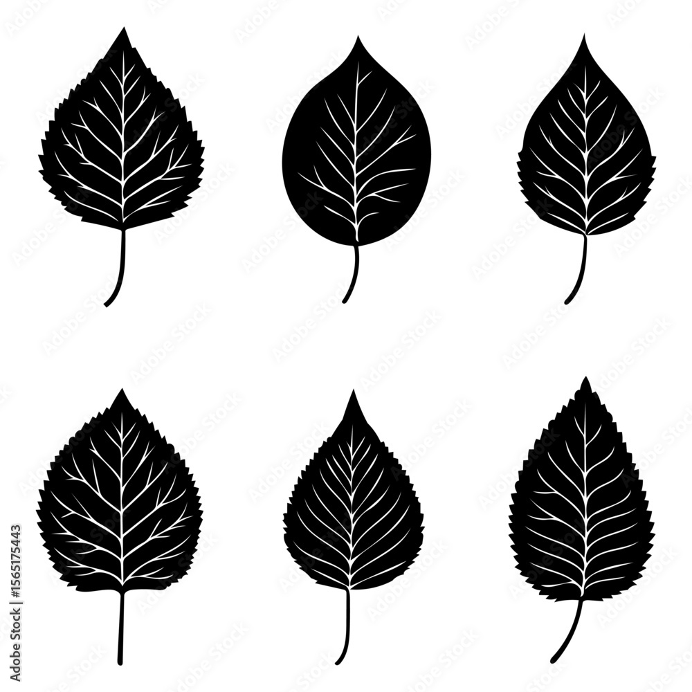 Ficus Religiosa Silhouette for Nature, Sacred Tree, Botanical Flat Vector Illustration Ficus Religiosa Silhouette for Nature, Sacred Tree, Botanical Flat Vector Illustration