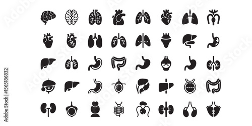 A collection of black and white icons representing various human organs in a grid arrangement