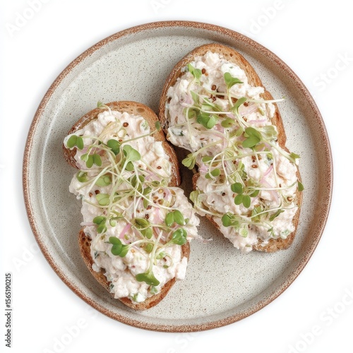 On a gray plate isolated against white, three open sandwiches are displayed, comprising toasted bread layered with cream cheese, red salmon, and microgreens, shown in a top-down view