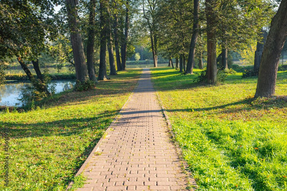 Fototapeta premium Brick walkway with grass on the sides