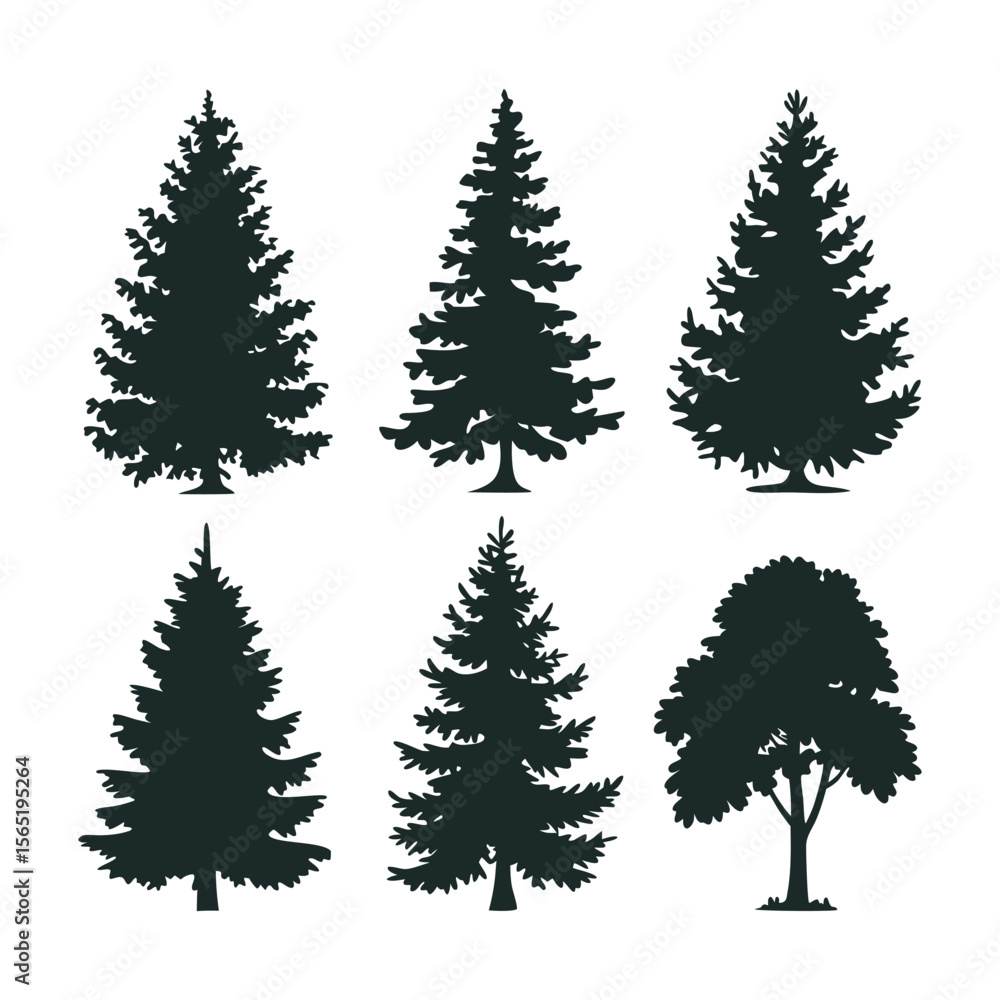Obraz premium Various Evergreen and Deciduous Tree Silhouettes