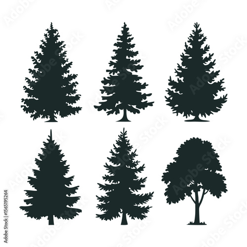 Various Evergreen and Deciduous Tree Silhouettes