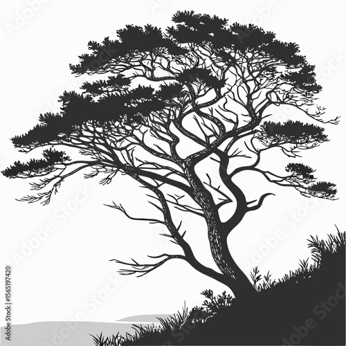 Wallpaper Mural Black and White Silhouette of a Windswept Pine Tree on a Hillside Torontodigital.ca