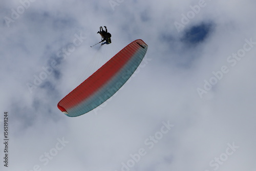 Colorful Parasails Flying Above the Ocean on a Sunny Coastal Day