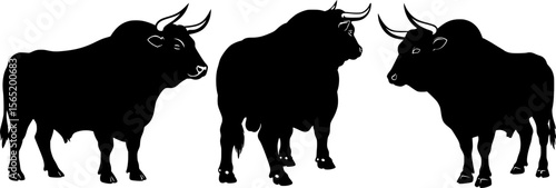 Powerful bull standing silhouettes with horns black cattle livestock figures for western ranch agricultural design elements collection