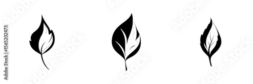 Silhouette pictogram of various leaf designs showcasing intricate details and unique shapes