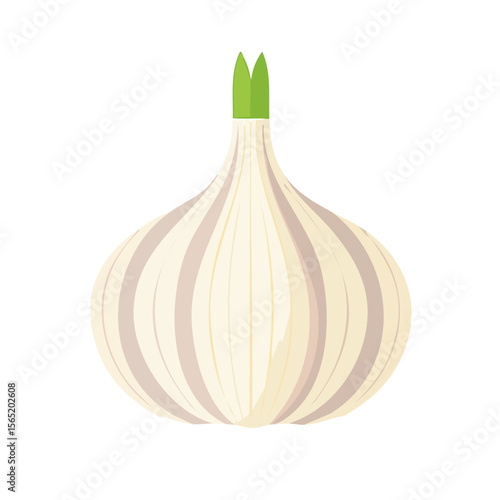 Garlic Food Icon Isolated on a Transparent Background