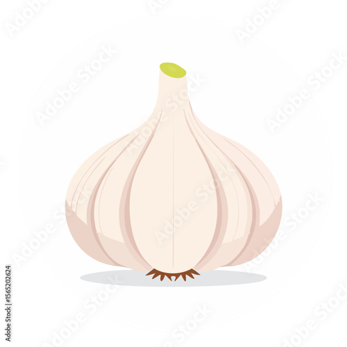 Garlic Food Icon Isolated on a Transparent Background