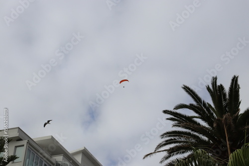 Colorful Parasails Flying Above the Ocean on a Sunny Coastal Day