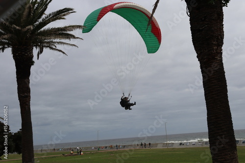 Colorful Parasails Flying Above the Ocean on a Sunny Coastal Day