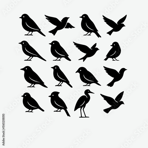 Set of black bird silhouettes. Vector elements for design.