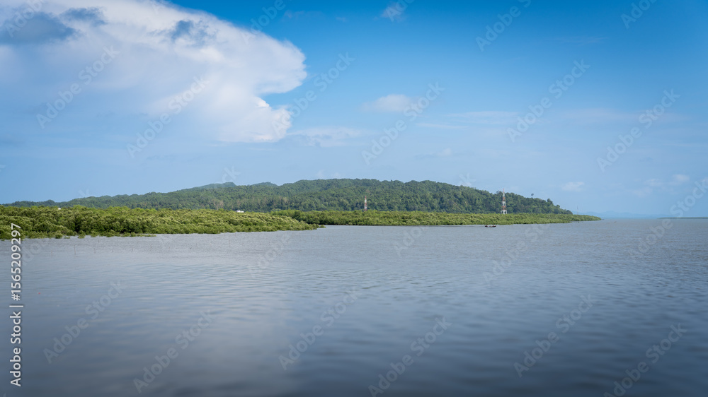 summer landscape with lake summer landscape with lake