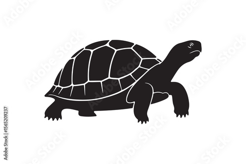 Turtle Silhouette Walking Slowly Tortoise Animal Graphic Design