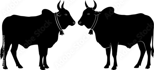 Two striking black silhouette bullocks with bells facing each other,symbolizing traditional asian farm animal and agricultural heritage