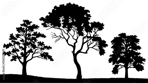 Silhouette tree line drawing set in side view. Collection of black tree outlines with various natural shapes, isolated on white background. Ideal for landscape, nature, and outdoor design.