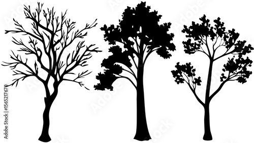Silhouette tree line drawing set in side view. Collection of black tree outlines with various natural shapes, isolated on white background. Ideal for landscape, nature, and outdoor design.