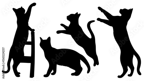 Cat silhouettes vector illustration set. Collection of black cat shapes in various poses, isolated on white background. Perfect for pet, animal, and decorative design projects.