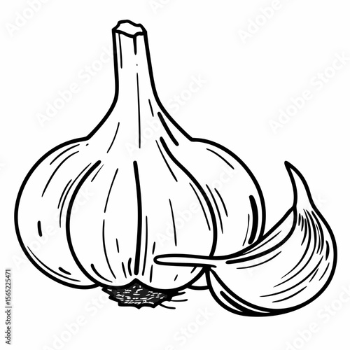a garlic