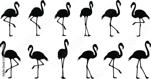 Elegant Black Flamingo Silhouettes Vector Collection for Tropical Nature Designs, Wildlife Art, Exotic Bird Graphics, and Stylish Summer-themed Illustrations for Web and Print.