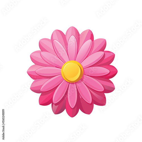 pink daisy isolated on white