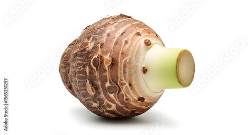 hern Fresh Taro Root (Dasheen, Colocasia Esculenta) Isolated on White Background
