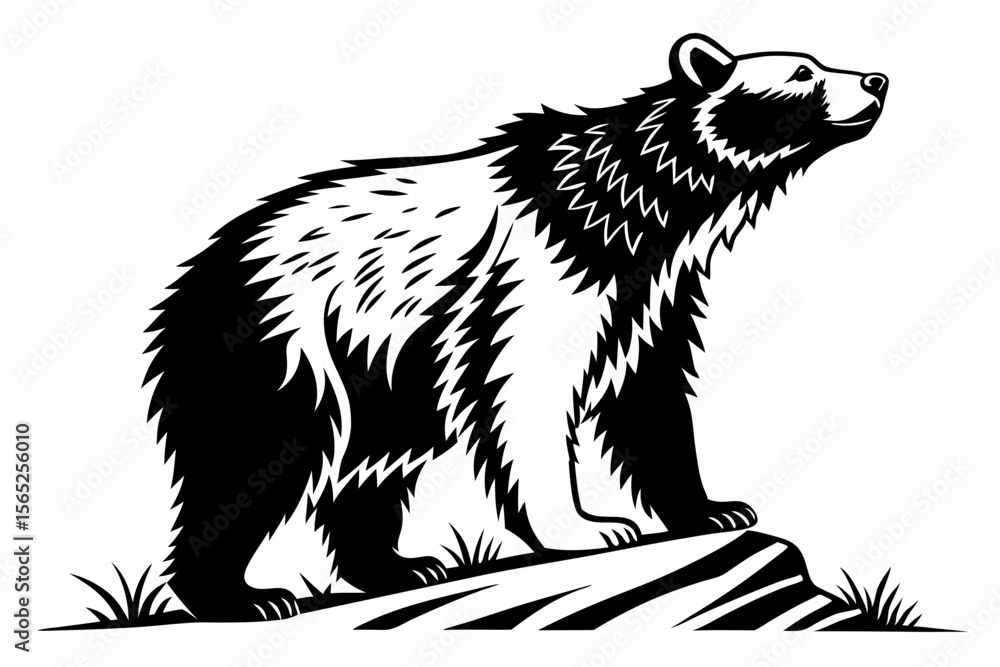 Fototapeta premium bear sihouette black vector