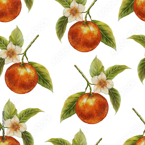 Seamless watercolor pattern with whole and sliced oranges on a white background. Bright and juicy citrus design, perfect for packaging, fabric prints, kitchen decor, and summer-themed projects.