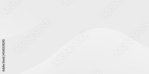 Soft, curved, white lines overlay a light gray background to provide a neutral graphic banner. It serves as an aesthetic division in the page layout.