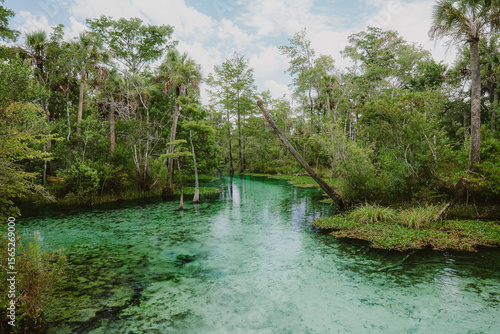 Canvas Print Pitt and Sylvan Springs Florida