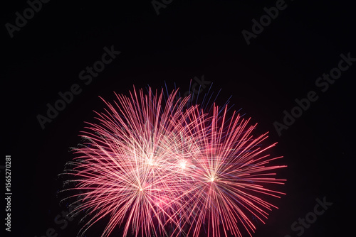 fireworks in the night sky